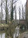 IMG_2429