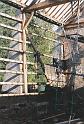 IMG_0004