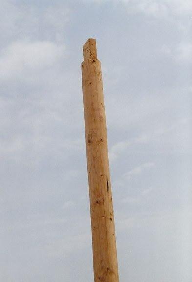 IMG2