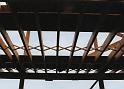 IMG_0006