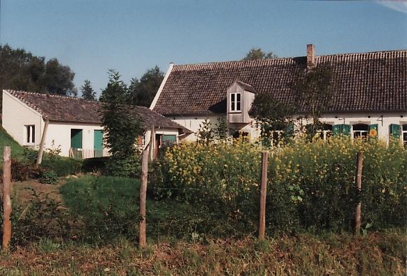 PEDE_0012