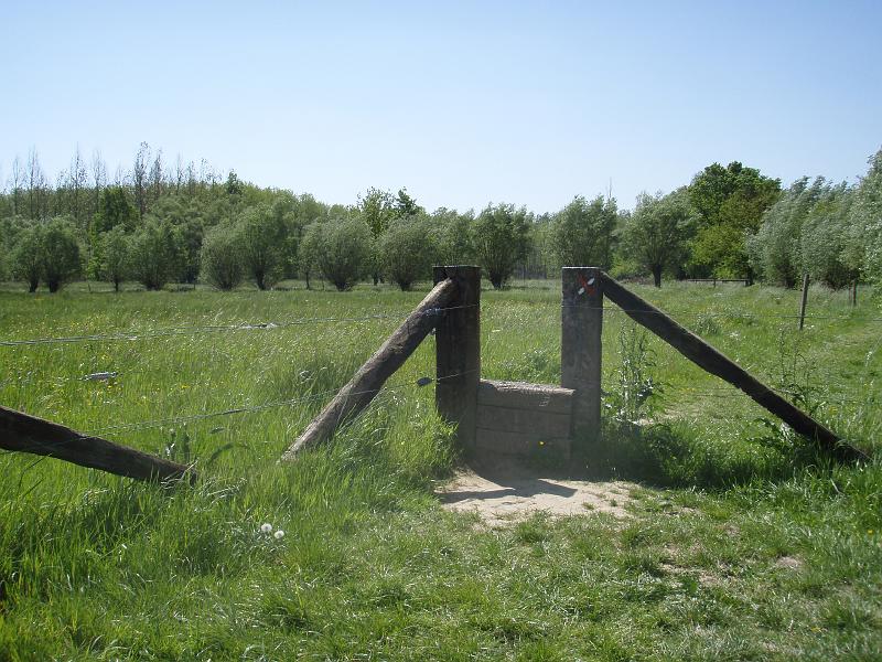 P5010153