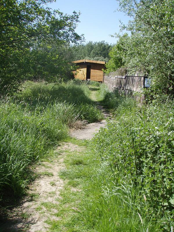 P5010154
