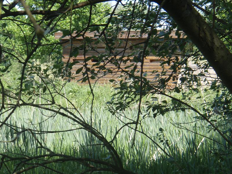 P5010160