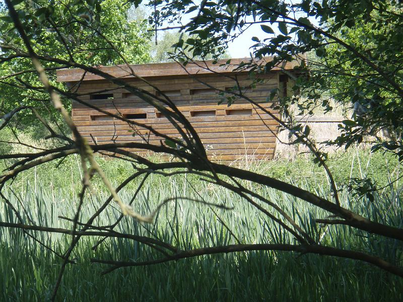 P5010161